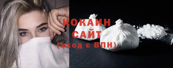 индика Горно-Алтайск