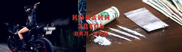 индика Горно-Алтайск