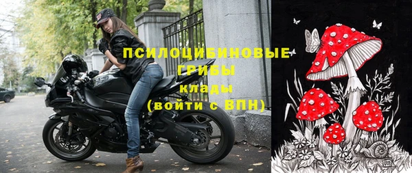 твердый Вязники