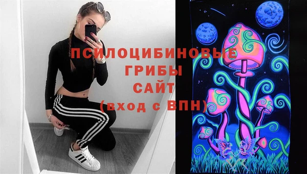 шишки Вязьма