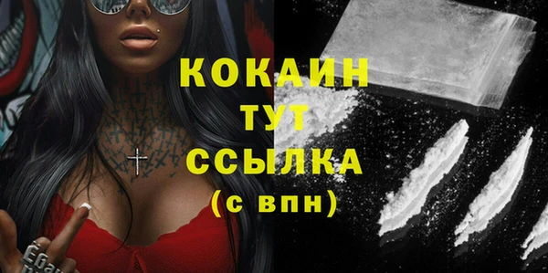 шишки Вязьма
