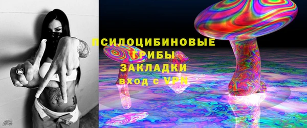 шишки Вязьма