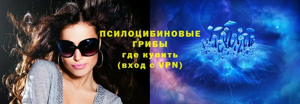 твердый Вязники