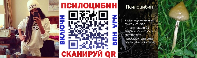 Галлюциногенные грибы Psilocybine cubensis  купить наркотик  Гусев 